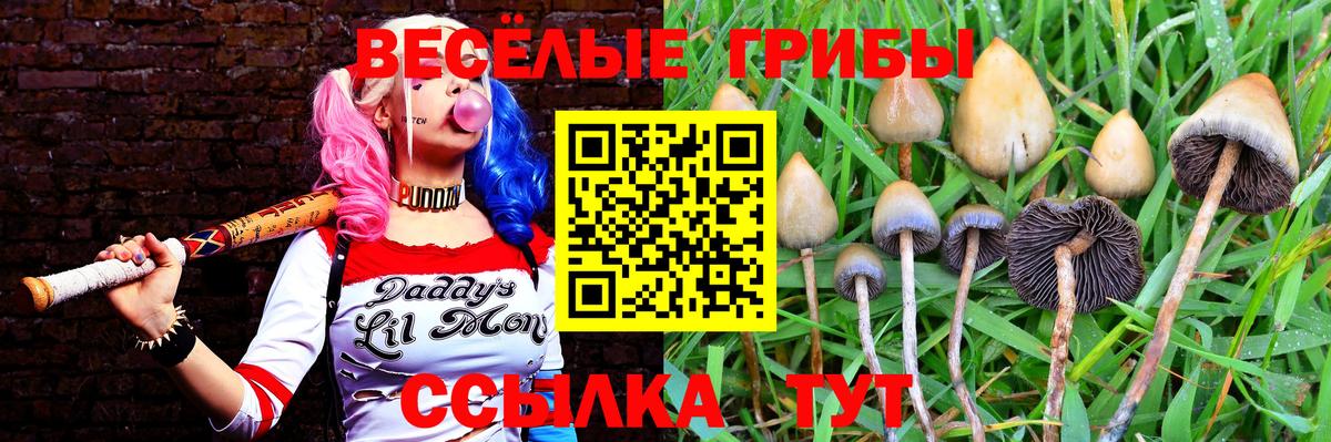 Галлюциногенные грибы MAGIC MUSHROOMS Карпинск