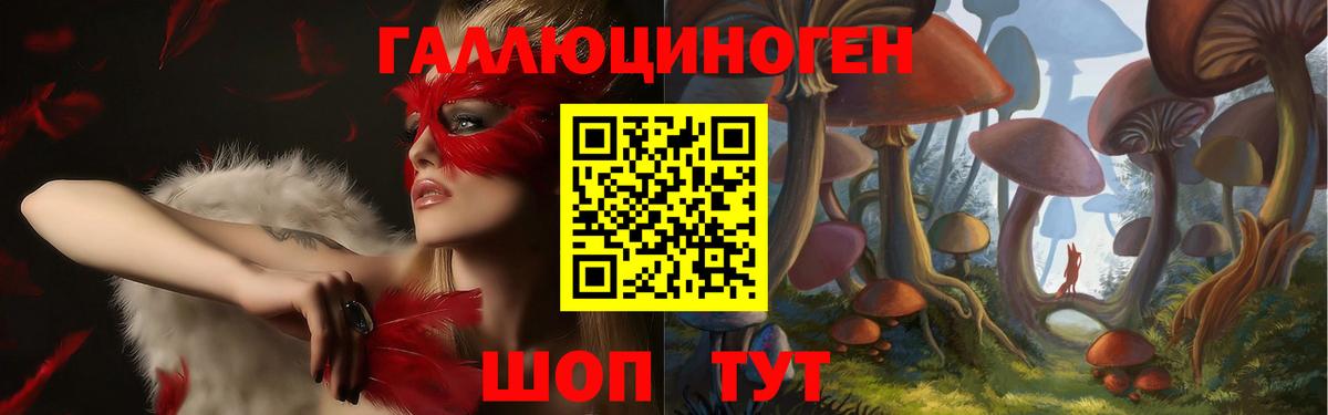 Галлюциногенные грибы Psilocybe  Псилоцибиновые грибы мицелий  Вход с VPN  Карпинск 